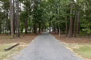 3 Hickory Landing Ct, Elloree, SC 29047 - Photo 21