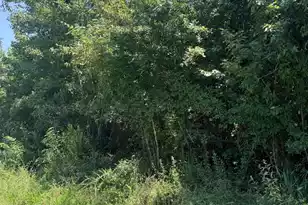 00 Society Rd, McClellanville, SC 29458 - Photo 1