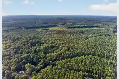 0 Greenwood Road, Adams Run, SC 29426 - Photo 23