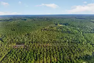 0 Greenwood Rd, Adams Run, SC 29426 - Photo 1