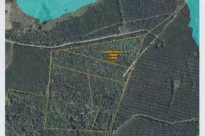 0 Greenwood Road, Adams Run, SC 29426 - Photo 3