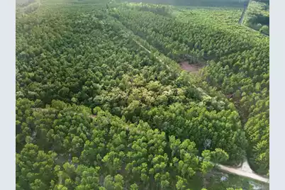 0 Greenwood, Adams Run, SC 29426 - Photo 15