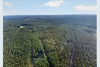 0 Greenwood, Adams Run, SC 29426 - Photo 19