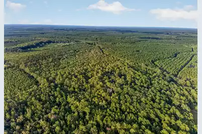 0 Greenwood, Adams Run, SC 29426 - Photo 21