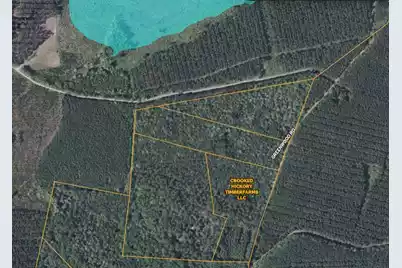0 Greenwood, Adams Run, SC 29426 - Photo 3