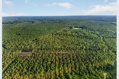 0 Greenwood, Adams Run, SC 29426 - Photo 5