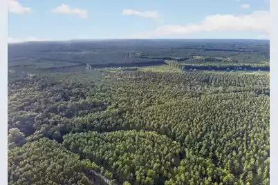 0 Greenwood, Adams Run, SC 29426 - Photo 23