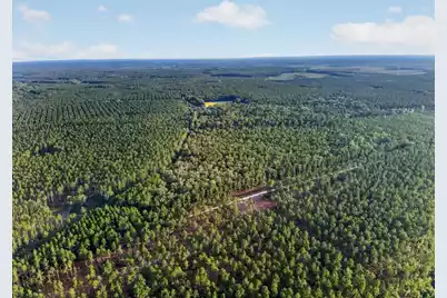 0 Greenwood, Adams Run, SC 29426 - Photo 19