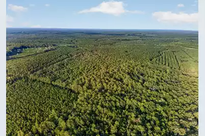 0 Greenwood Road, Adams Run, SC 29426 - Photo 1