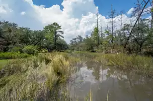 1222 Taliaferro Ave, Charleston, SC 29412 - Photo 39