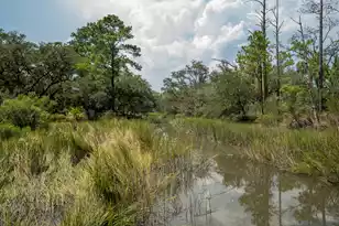 1222 Taliaferro Ave, Charleston, SC 29412 - Photo 5