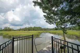 3305 Hopkinson Plantation Rd, Johns Island, SC 29455 - Photo 81