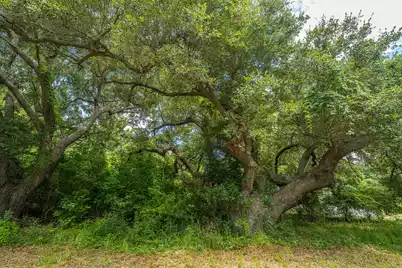 0 Holly Creek Road #Lot 4A, Charleston, SC 29412 - Photo 17