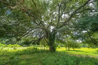 0 Holly Creek Road #Lot 4A, Charleston, SC 29412 - Photo 11