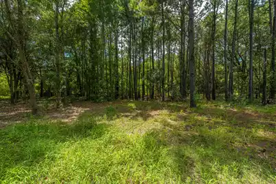 0 Holly Creek Road #Lot 4A, Charleston, SC 29412 - Photo 9