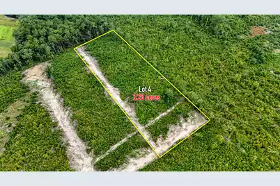 0 County Road, Summerville, SC 29483 - Photo 1