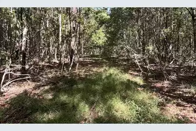 0 McLeod, Walterboro, SC 29488 - Photo 5