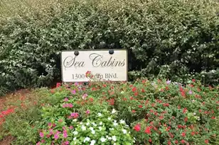 1300 Ocean Blvd, Isle Of Palms, SC 29451 - Photo 21