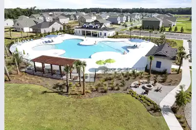 425 Wild Olive Drive, Moncks Corner, SC 29461 - Photo 9