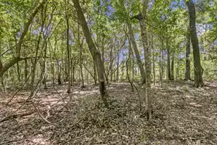 2895 Fagan Way, Johns Island, SC 29455 - Photo 79