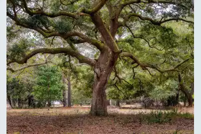 1708 Boyd N Hayes Road, Johns Island, SC 29455 - Photo 21
