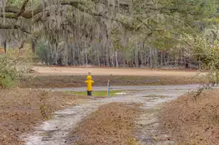1708 Boyd N Hayes Rd, Johns Island, SC 29455 - Photo 31