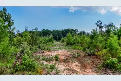 00 County Road, Summerville, SC 29483 - Photo 7