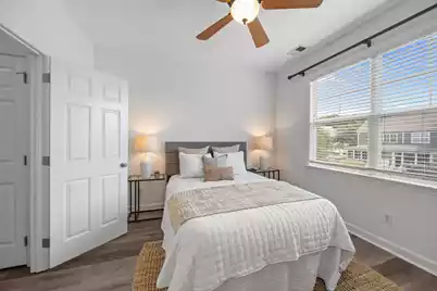 2971 Treadwell Street, Mount Pleasant, SC 29466 - Photo 11