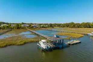 2678 Egrets Landing Ct, Mount Pleasant, SC 29466 - Photo 67