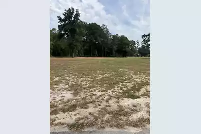 621 Chaplin Street, Walterboro, SC 29488 - Photo 1