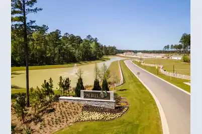 734 Breezy Palm Way, Summerville, SC 29486 - Photo 7