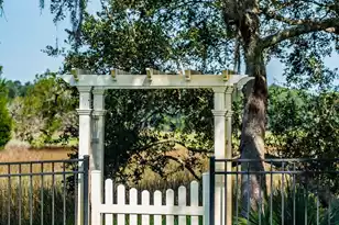 4014 Gift Blvd, Johns Island, SC 29455 - Photo 59