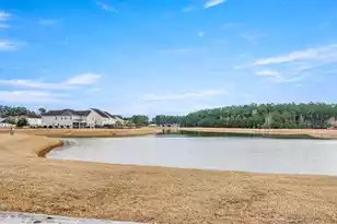 165 Lindera Preserve Blvd, Summerville, SC 29486 - Photo 49