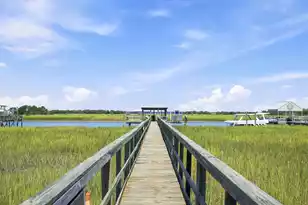 309 Palm Blvd, Isle Of Palms, SC 29451 - Photo 57