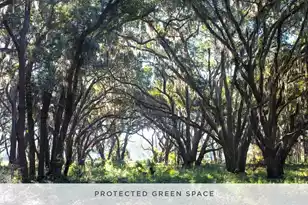 6028 Honey Hole Hvn, Johns Island, SC 29455 - Photo 5