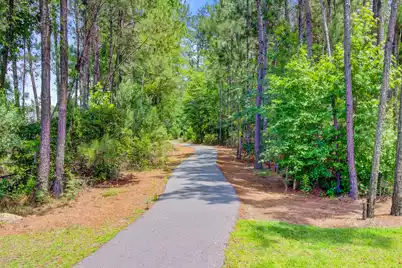 246 Torslanda Lane, Summerville, SC 29486 - Photo 43