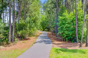 246 Torslanda Ln, Summerville, SC 29486 - Photo 43