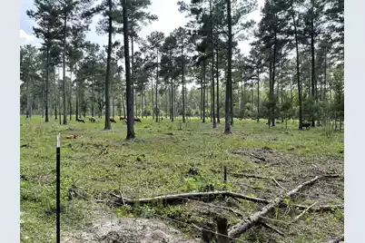 1647 Smoak Road, Walterboro, SC 29488 - Photo 29