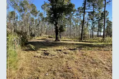 1647 Smoak Road, Walterboro, SC 29488 - Photo 31