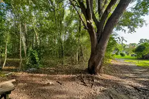 109 Wisteria Falls Trail, Saint Stephen, SC 29479 - Photo 5