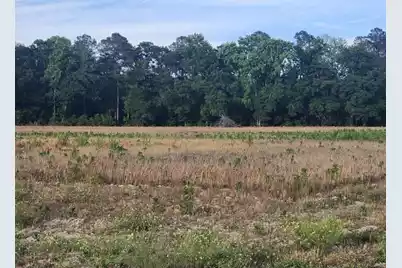 0 Broxton Bridge Road, Bamberg, SC 29003 - Photo 3