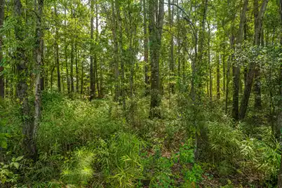 505 Stratton Court, Goose Creek, SC 29445 - Photo 37