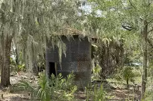 8176 Rosa Scott Rd, Edisto Island, SC 29438 - Photo 63