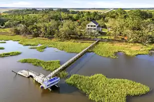8176 Rosa Scott Rd, Edisto Island, SC 29438 - Photo 61