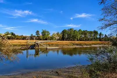 2323 Darts Cove Way, Mount Pleasant, SC 29466 - Photo 53