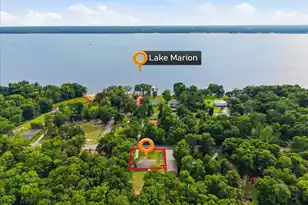 3033 Princess Pond Rd, Summerton, SC 29148 - Photo 9