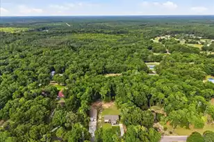 3033 Princess Pond Rd, Summerton, SC 29148 - Photo 31