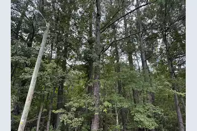 0 Charleston Highway, Orangeburg, SC 29115 - Photo 3