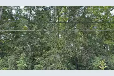 0 Charleston Highway, Orangeburg, SC 29115 - Photo 5