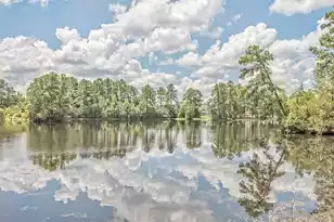 115 Worthington Dr, Moncks Corner, SC 29461 - Photo 45